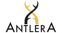 Antlera Logo
